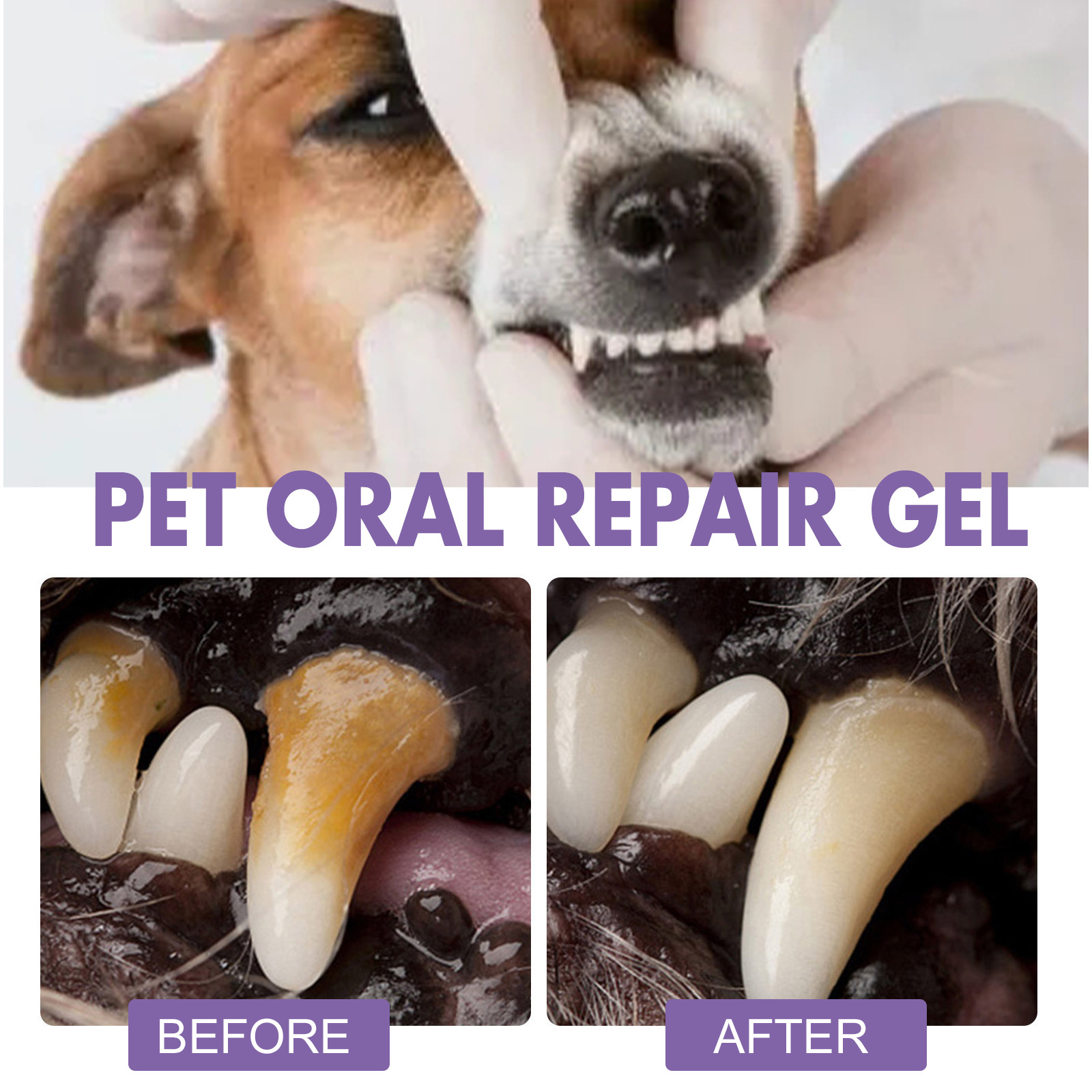 Huisdier Orale Reparatie Gel P - Teeth Whitening Products recensie en prijs